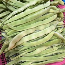 금성식품 중국식품 중국야채 희색 쨔떠우 400g