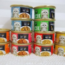 프리미엄 골드 런치캔 연어+참치 80g x 24캔 고양이캔