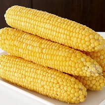 [미식한가] 제철의맛 그대로 냉동 초당옥수수 특품 (17-20cm), 냉동 초당옥수수 5팩(10개입)