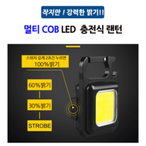 COB LED 키체인 미니 멀티 랜턴 충전식 야외 등산 캠핑 차박 비상 휴대용 포켓 손전등 라이트 작업등 10W, 선택1)J031+케이블+파우치