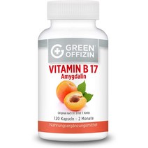 Green Offizin Vitamin B17 그린 오피진 비타민 B17 120캡슐, 1개