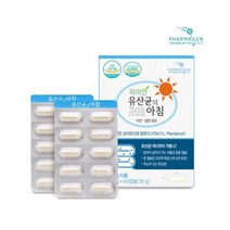 아침 유산균의 파마젠, 1개