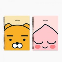 카카오프렌즈 스프링 클리어파일 어피치 / 230*310mm 20매, 상세페이지 참조, 상세페이지 참조