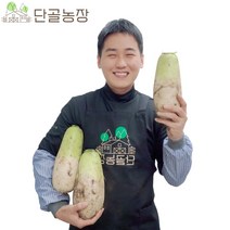 제주 산지직송 아삭아삭 비세척 월동무 겨울무 무우, 월동무 / 15kg / 10~15개