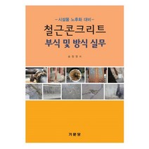 밀크북 철근콘크리트 부식 및 방식 실무, 도서