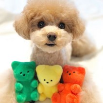 강아지 애착인형 젤리곰 하리보 인형, 화이트