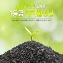 야자활성탄1 베이크아웃 새집증후군 야자숯 냄새탈취 공기정화 습기제거 99%항균 1kg 2kg, 야자활성탄1kg