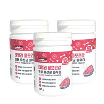파미데이즈 데일리 강아지 유산균 파우더 영양제, 05_데일리 피모건강 연어 100gx3개