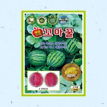 꼬마꿀수박씨 10립 수박 두리 씨앗 KS종묘