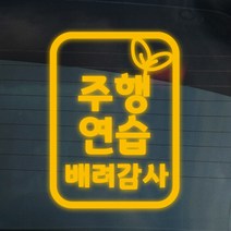 더굿데이 도로연수 주행연습 운전연습 차량 스티커 15종, 05-7 반사옐로우_도로 주행스티커