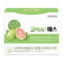 안국건강 코박사에스 영양제 120캡슐 1개 정품, 120캡슐 x 1개