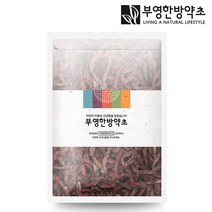 부영한방약초 레드비트 차, 1개, 200g