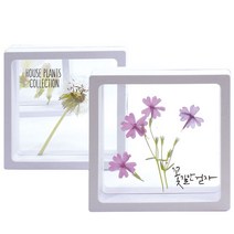 투명 액자 하바리움 압화 곤충 (소) (1인용), 1인용_소_받침A