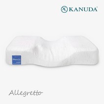 가누다 블루라벨 알레그레토 단품 / 메모리폼 경추 기능성 베개, M, 1개