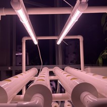 수직 수경법 성장 시스템 LED 조명 가족 농장 야채 심기 강의 화분, 01 Hydroponics 108 site