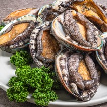 [농부마음] [산지직송] 진도 활전복 대 1kg 11-12미, 상세 설명 참조, 상세 설명 참조