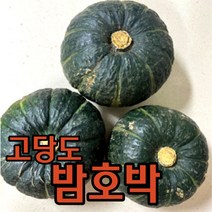 신제품] 크레용신짱 미니츄잉/짱구 미니츄잉 16g X 15개 ( 한케이스)