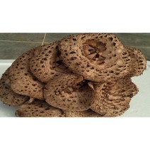 자연산 능이버섯(냉동) 1KG