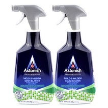 아스토니쉬 곰팡이클리너 750ml