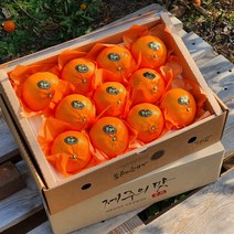 [제주산지직송] 천혜향 3kg(8~13수 대과선물용) 그윽한 맛과 향 제주과일의 여왕 품격있는 과일선물세트 박스무게포함, 2박스