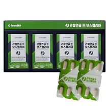 프롬바이오 관절연골 엔 보스웰리아850mgx30정x4개입
