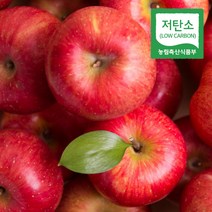 경북 의성 당도선별 사과 저탄소 홍로 부사, 1개, 정품 10kg 대과
