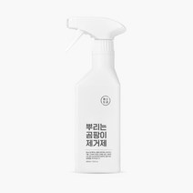청소도감 뿌리는 곰팡이 제거제, 1개, 400ml