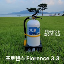 칼라소화기 화이트 3.3kg 프로렌스 분말소화기