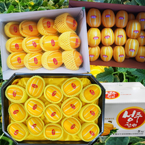 출시 성주참외 3kg 5kg 10kg 프리미엄 정품, 꼬마과(27~45과), 1개