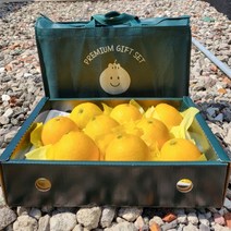 [백화점납품] 제주 황금향 선물세트 고당도 가정용 제주도 3kg 5kg 10kg, 선물용 2kg (박스포장 + 선물용가방)