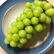 달달과수원 샤인머스켓 2kg 망고포도, 1박스(2kg)