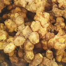 [요리조리] 국내산 토종 햇 흙 생강 1kg, 없음