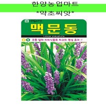 약초-맥문동/씨앗/종자/100립