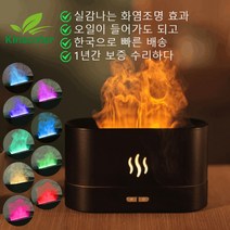 자연 가습기 기회식 천연 화산 미니 필터형 필터기, 180ml 블랙 프로