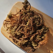 밀크씨슬분말 200g 정든팜 밀폐통제품 흰무늬 엉겅퀴, 상세페이지 참조, 상세페이지 참조