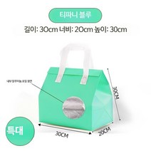 부직포 일회용 디저트 보온백 도시락 100 보냉백 포장, 엑스트라라지민트100pcs