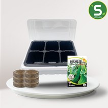 솔림지피7 펠렛 6개 포트 6구 흰 작두콩 씨앗 10립, 단품