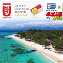 탑유심(ASIA) AIS True 인도네시아 유심 4G LTE 데이터무제한, 탑유심(ASIA) 4G 02일 데이터무제한, 1개