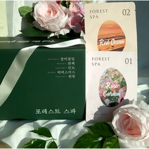 천연 허브입욕제 장미 편백 한방 약쑥 민트 족욕제 반신욕입욕제 포레스트스파, 패밀리박스x2(반신욕20회분)(soaking bath), 1개