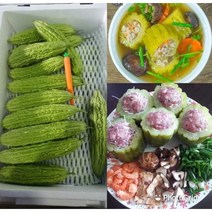 국내재배여주 베트남 여주 동남아시아야채 생 여주당일발송합니다, 500g, 1개