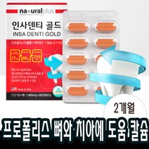 60정x1박스 인사덴티 프로폴리스 비타민c 영양제 치아 잇몸 부었을때 아플때 헐었을때
