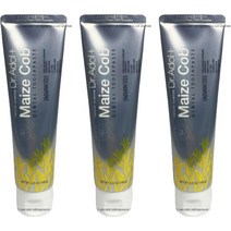 1+1+1 닥터아돌 메이즈콥치약 가족치약 잇몸치약 청소년 100g