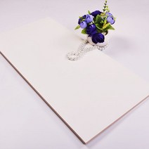 타일 아파트 인테리어 리모델링 벽 바닥 욕실 현관 화장실 줄눈 공사 거실 포세린 붙이는 폴리싱 주방, 300x600, M12