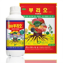 [모종심는아빠] 웃자감과 일소피해 경감 색상과 당도 향상 대유 부리오 엑제 500ml 수용제 500g, 액제(500ml)