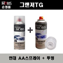 순정품 현대 그랜져TG AA 블랙다이아몬드 282 스프레이 + 투명스프레이 자동차 차량용 도색 카페인트, AA스프레이+투명스프레이(모비스)