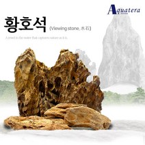 아쿠아테라 수족관 레이아웃 천연석