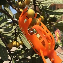 6평농막 유리온실 스마트팜 유리 온실 비닐하우설치 농막주택 비닐하우스자재 아크릴 온실 비닐하우스 농막 가정용스마트팜 유리온실하우스 유리온실 하우스 과일 포수 과일 선택기 원예, 협력사, 하얀색