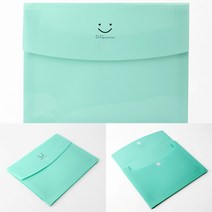 파일케이스 민트 클립화일 증권화일 도큐멘트파일 자동차등록증케이스 파일폴더 화일종류 쫄대화일 플라스틱파