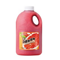 [업체발송] 흥국에프앤비 자몽 농축액 1.5L 1박스 6개, 단품, 단품