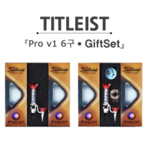 브라더스골프 타이틀리스트 Pro V1 6구 골프공 선물세트, 선택2 자석티 볼마커 세트